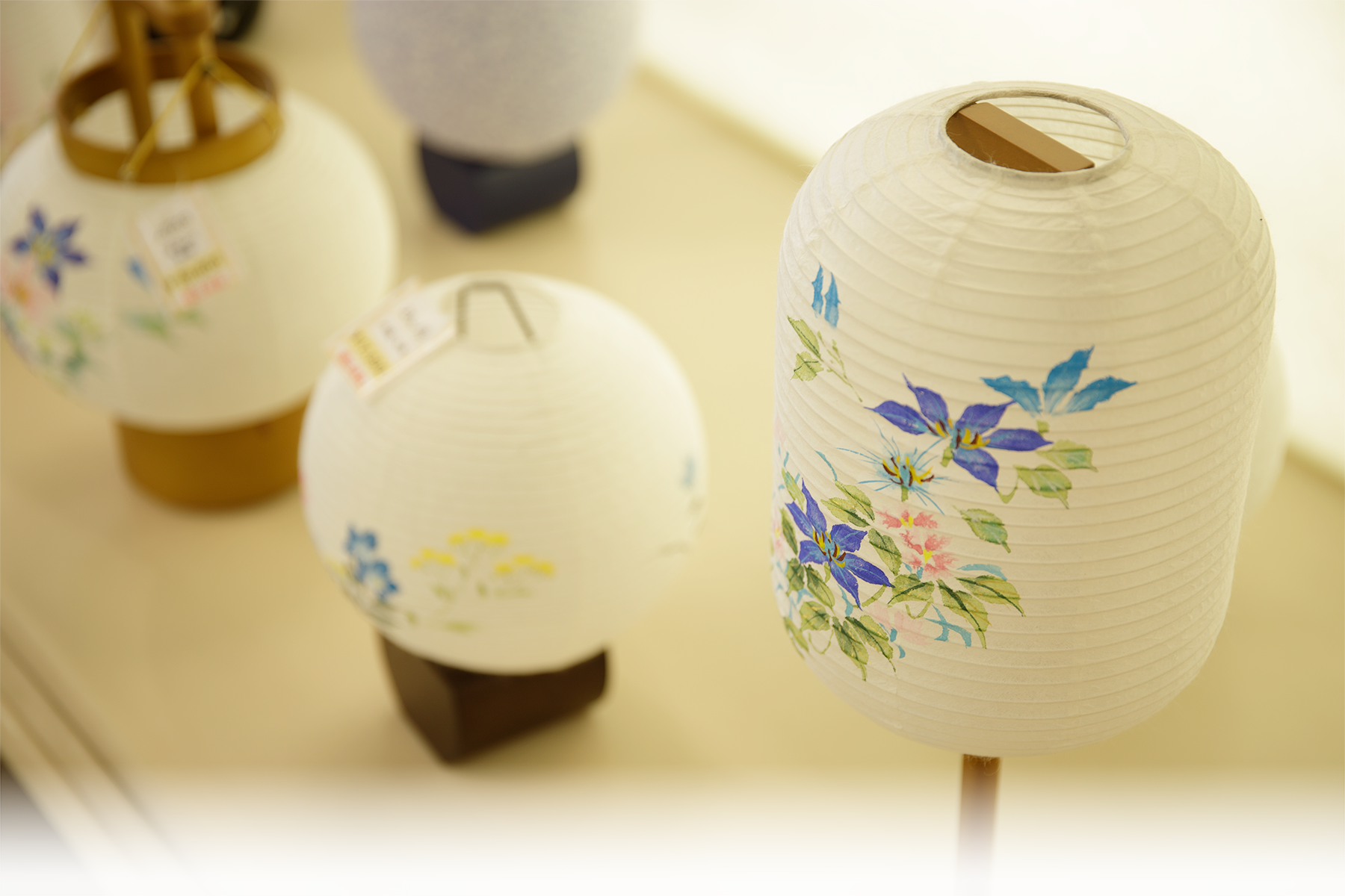 20260601_盆提灯展示中_1